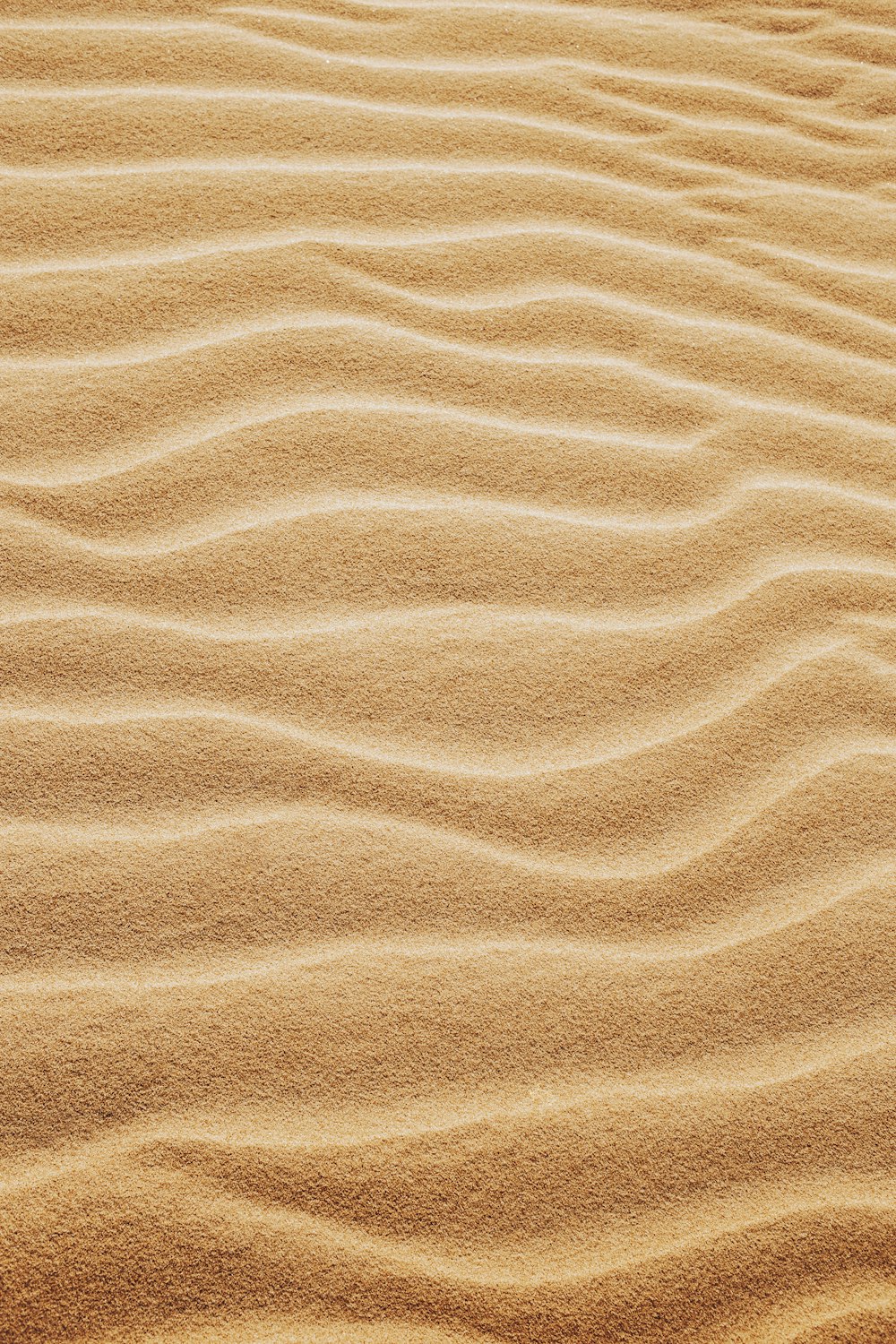 brown sand with shadow of person