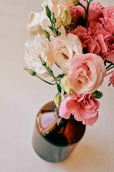 Lisianthus rosa e branco delicado