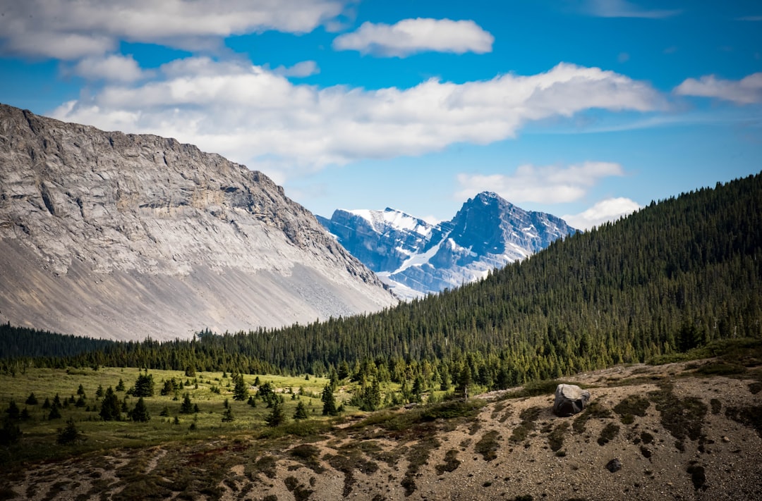 Hill photo spot Athabasca Canada