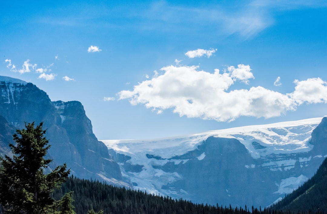 Hill station photo spot Athabasca Canada