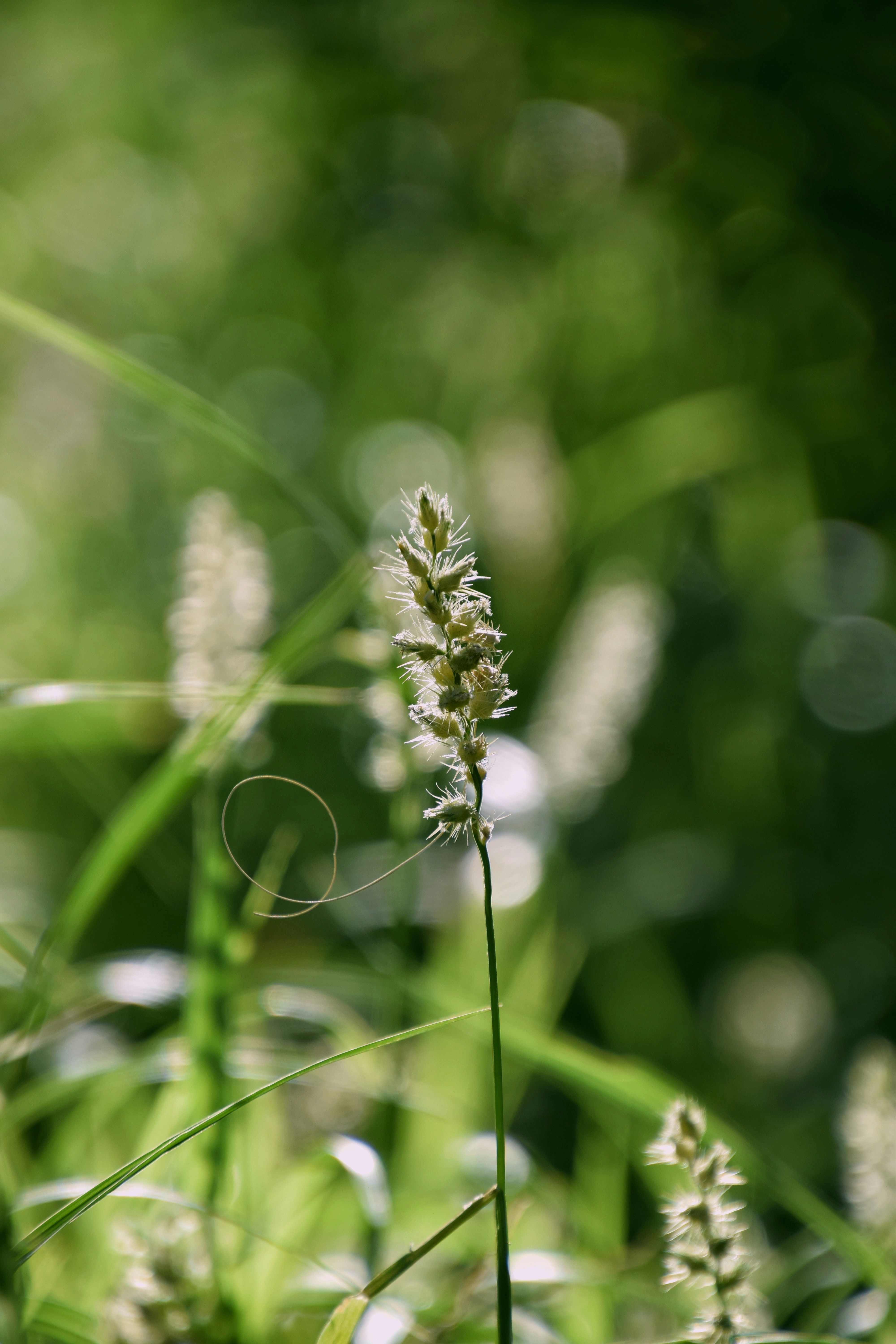 Photo by hydngallery