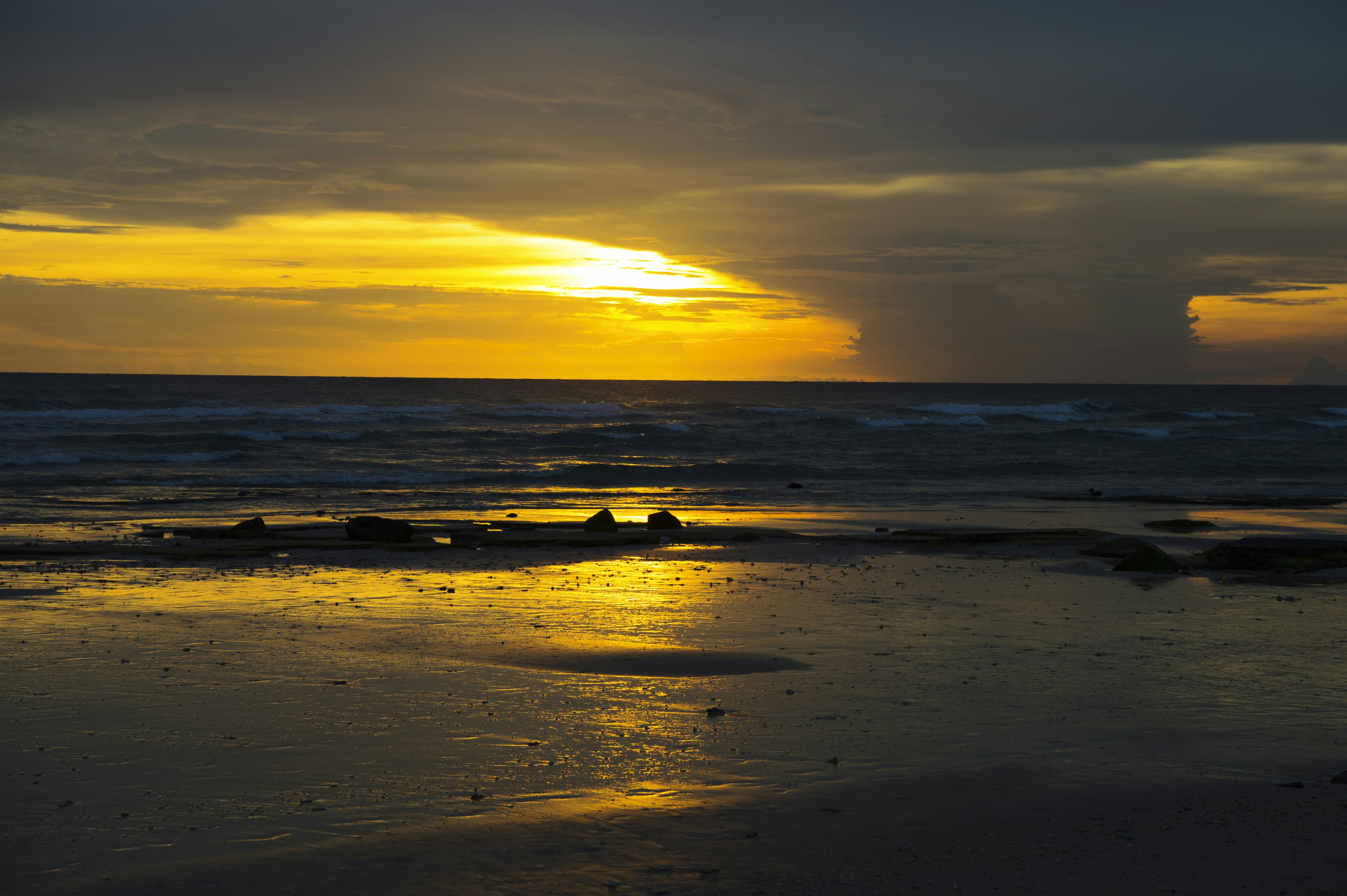 Photo by fan_world2020