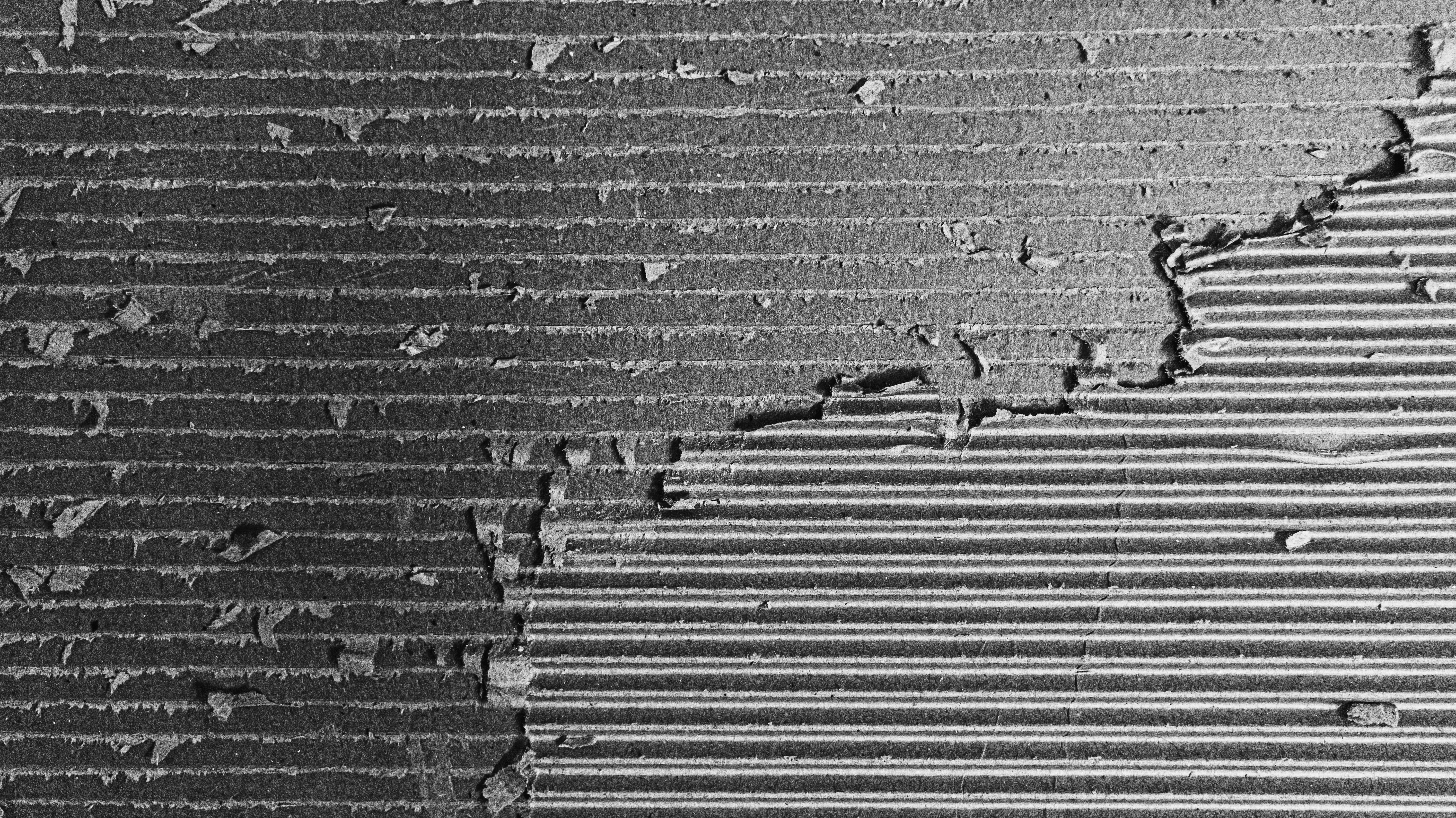 Photo by mishaalzahed