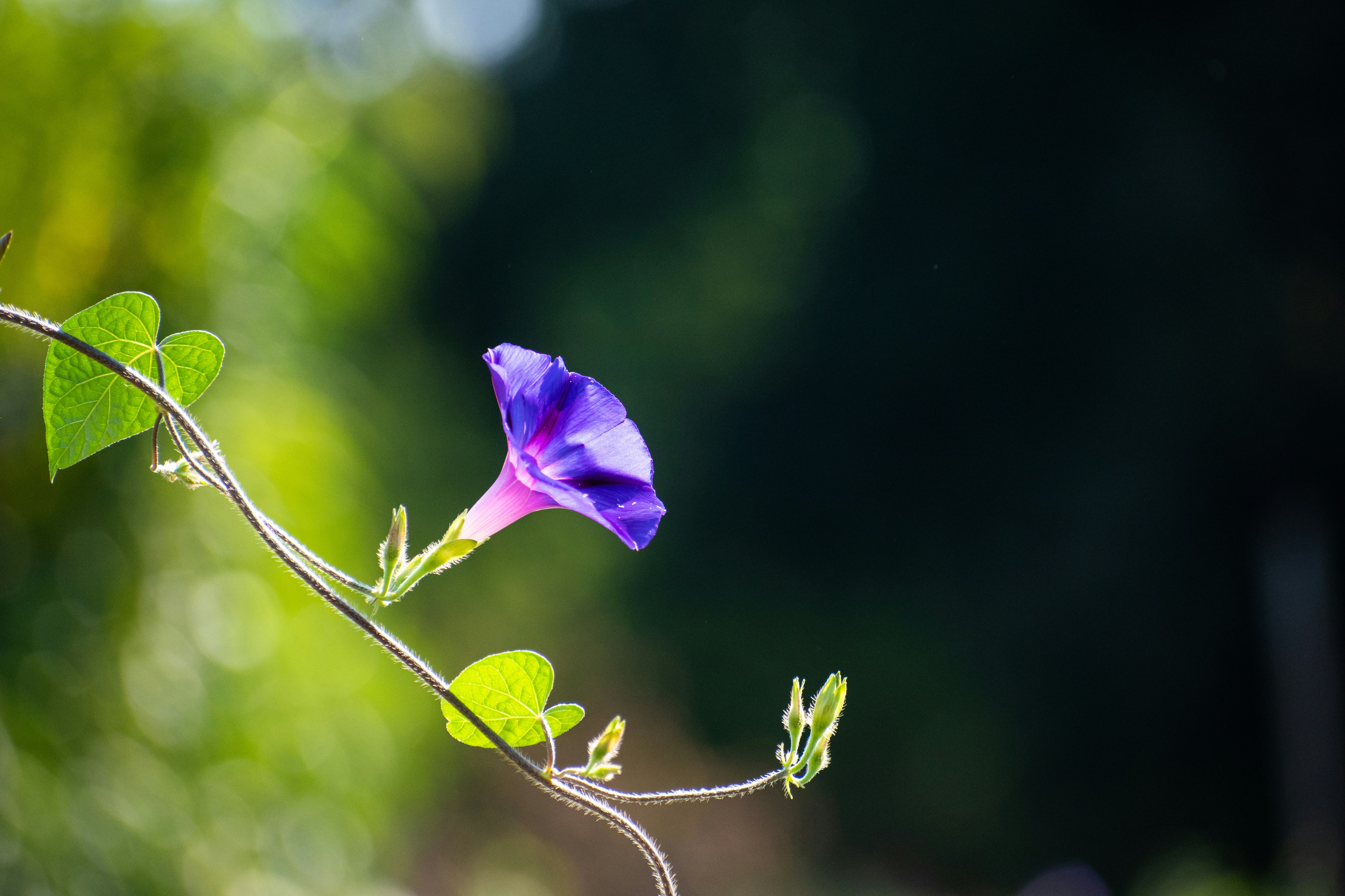 Photo by elisastonephotography