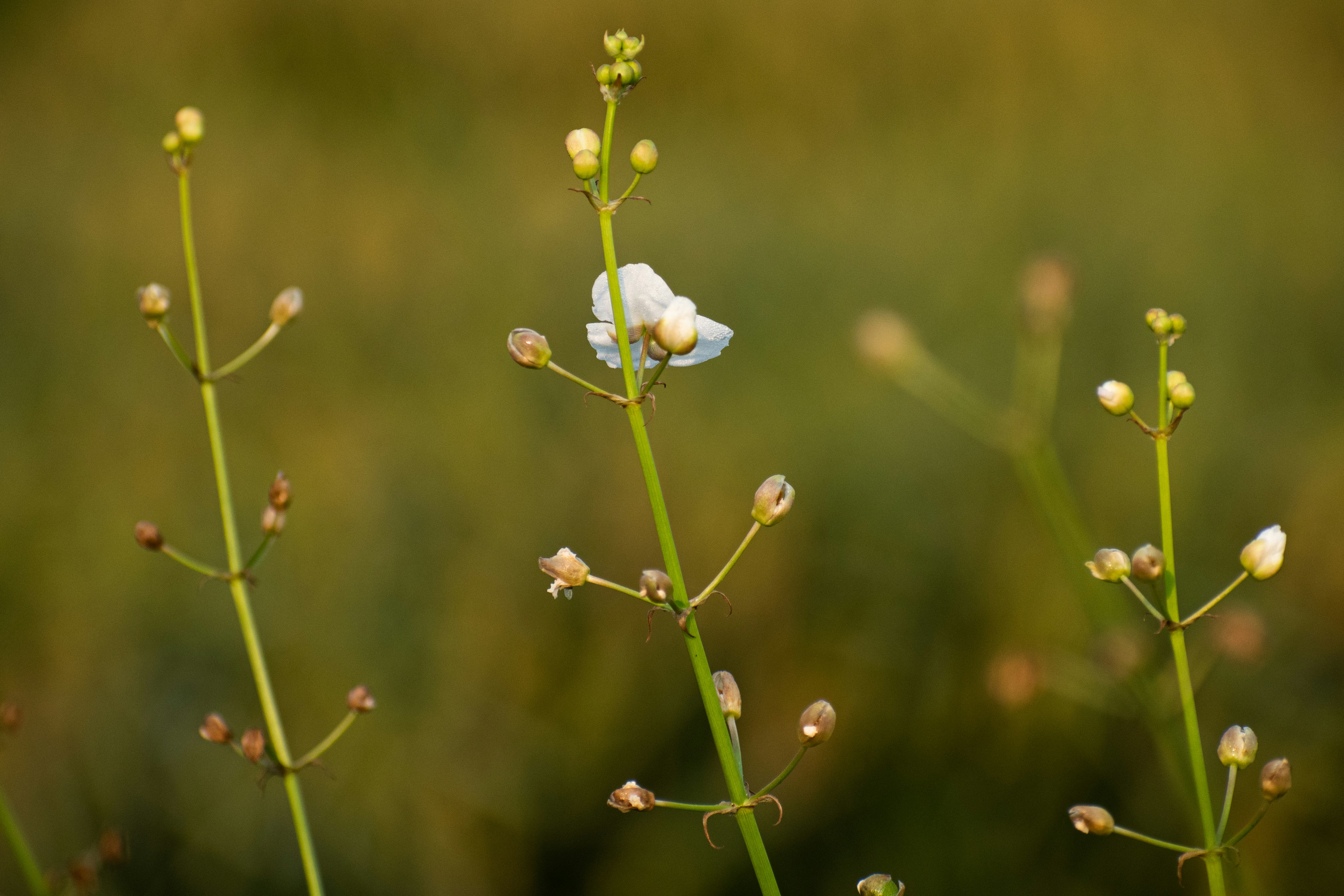 Photo by elisastonephotography