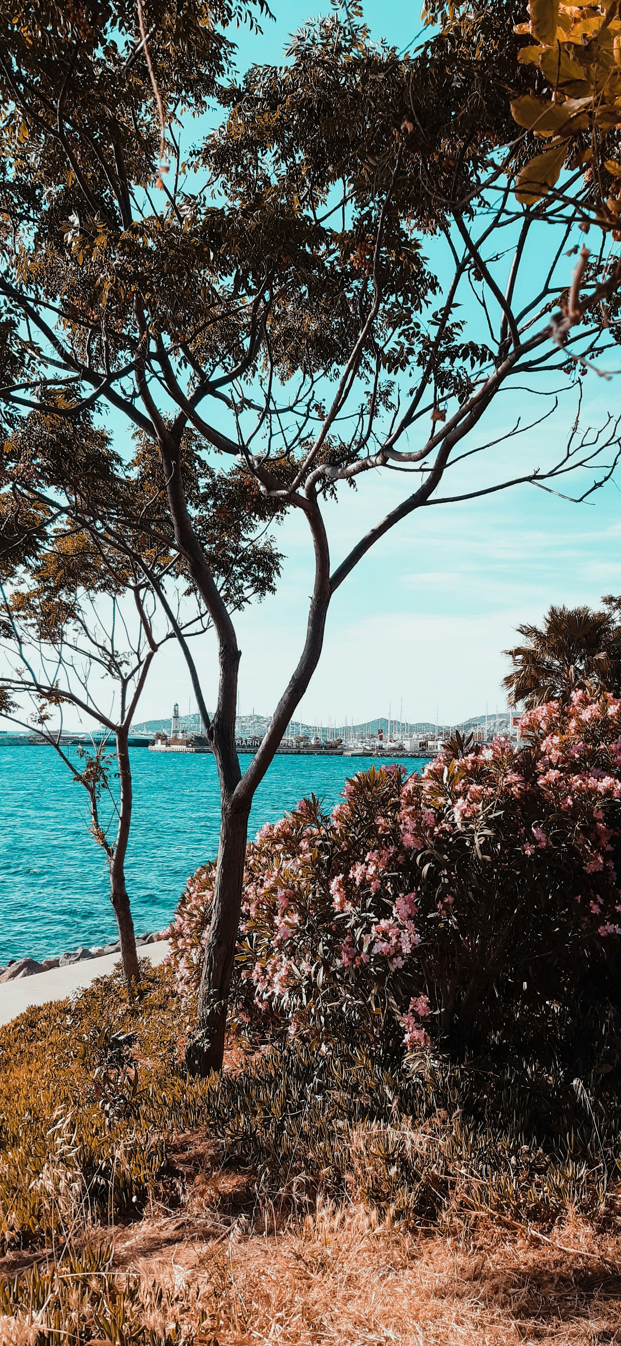 Photo by lilianabodrum