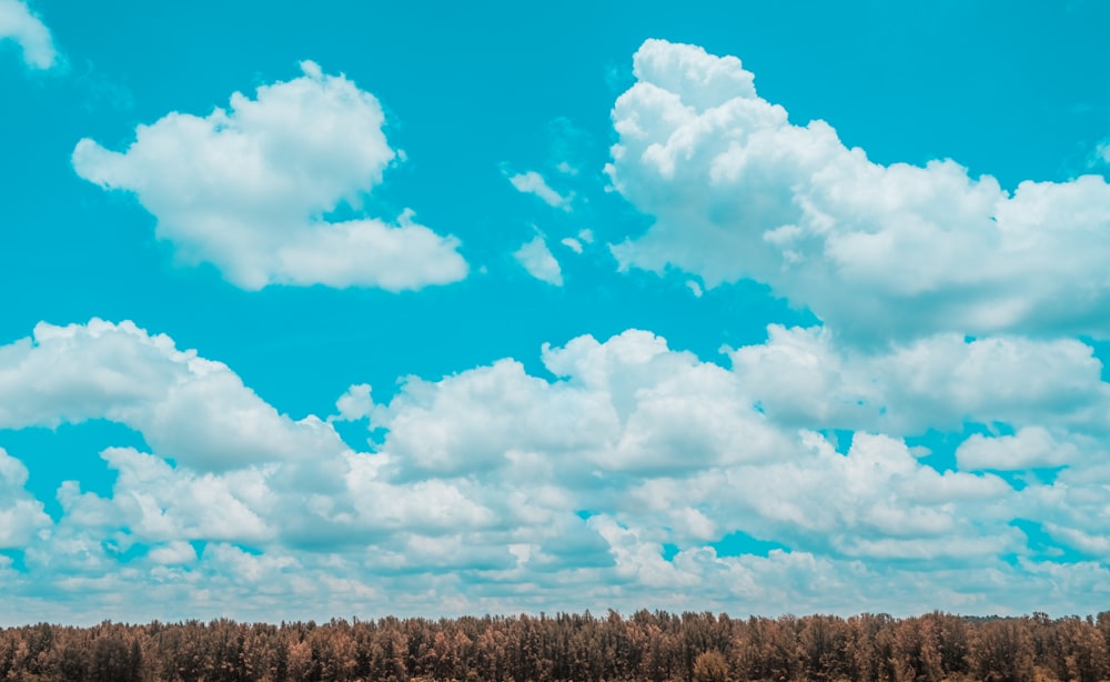 Nubes blancas y cielo azul durante el día