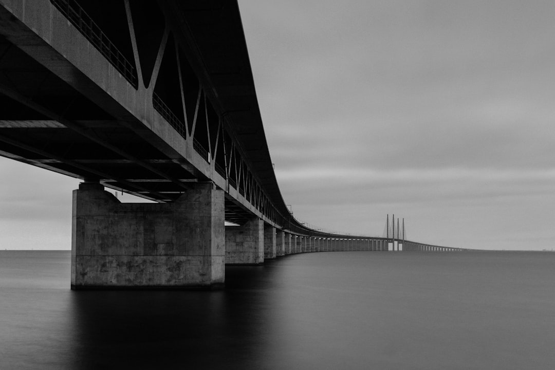 grayscale photo of bridge over water