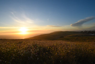 A serene plot of land with wildflowers and distant hills at sunset.