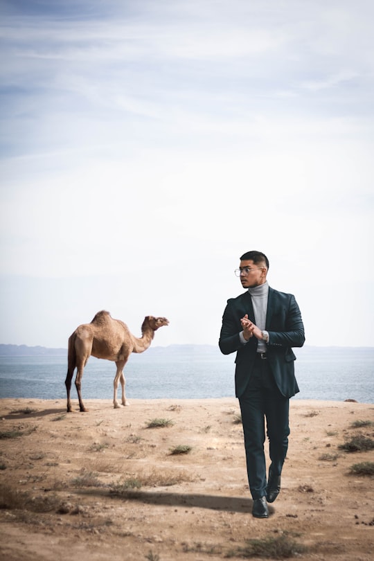 man in blue dress shirt and black pants standing beside brown camel during daytime in Alexandrië Egypt