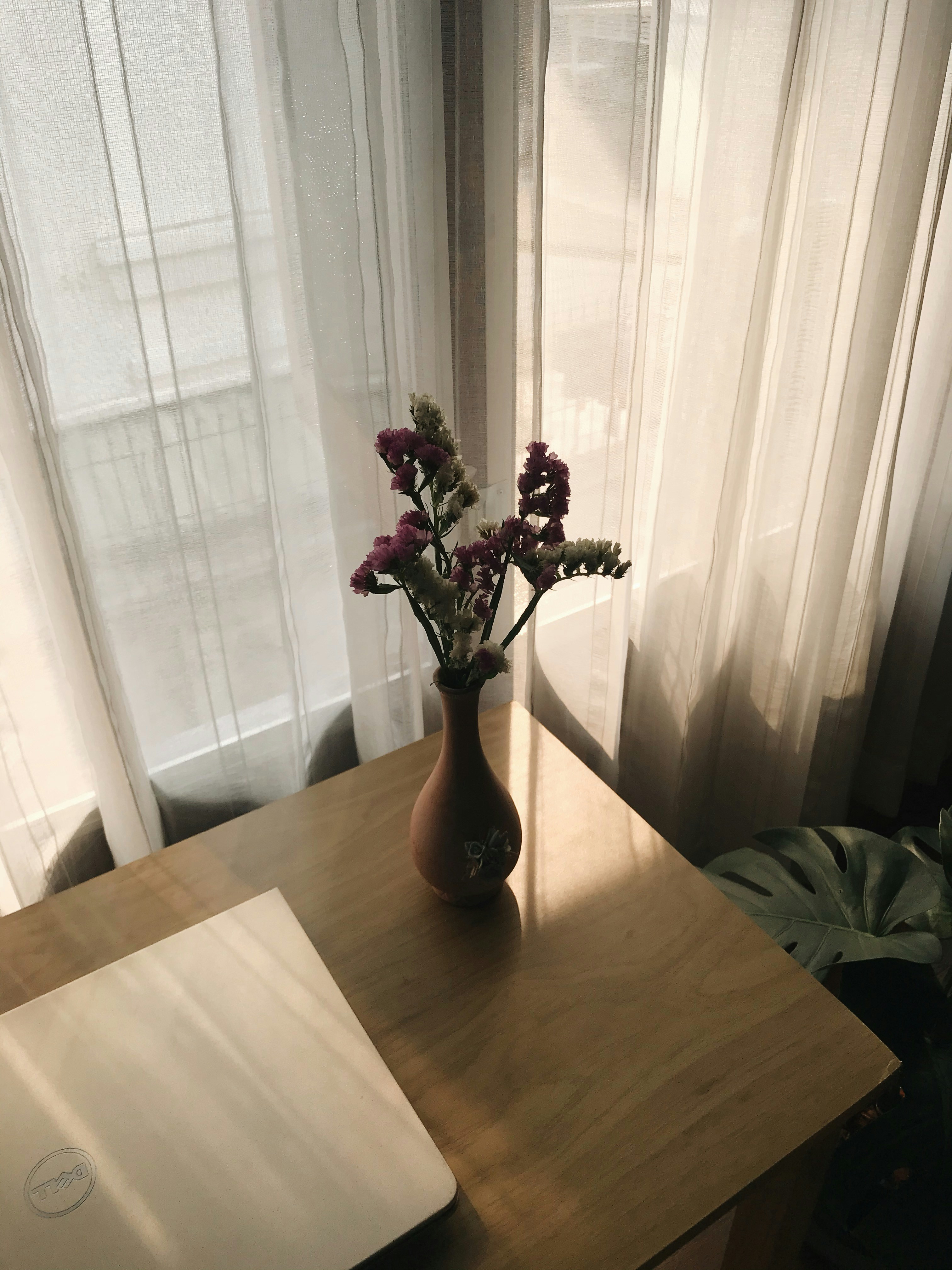 Photo by joulebennoy