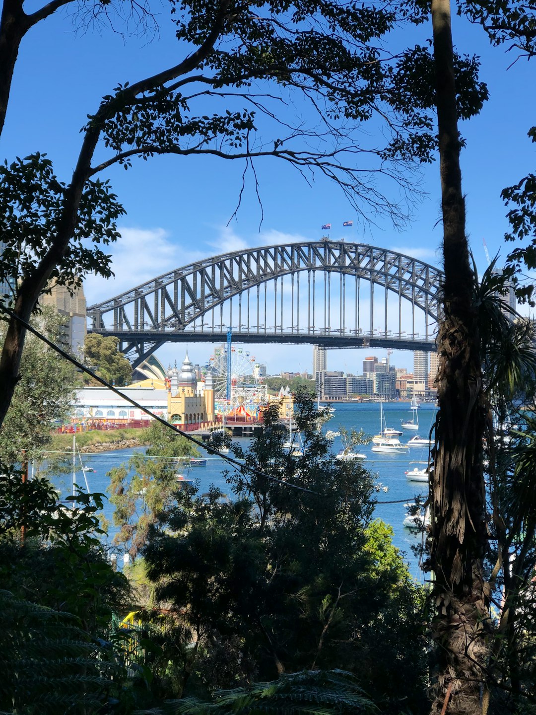 Bridge photo spot Wendy's Secret Garden Sydney Harbour Bridge