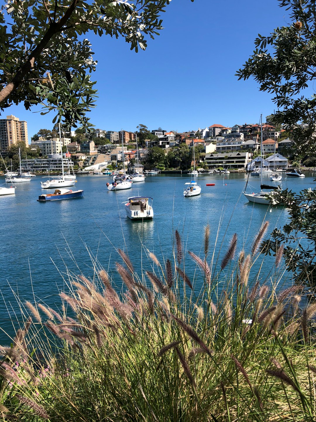 Bay photo spot 1 Harbourview Crescent Pittwater