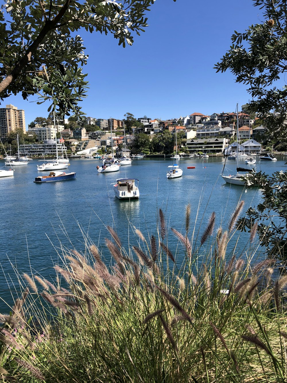 white and blue boat on sea near city buildings under blue sky during daytime