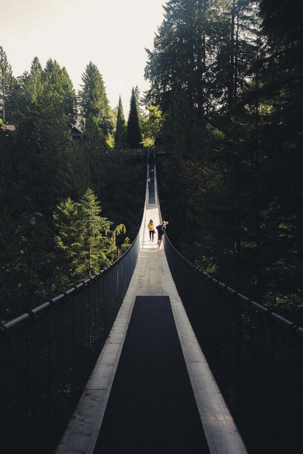 brown wooden bridge in the forest