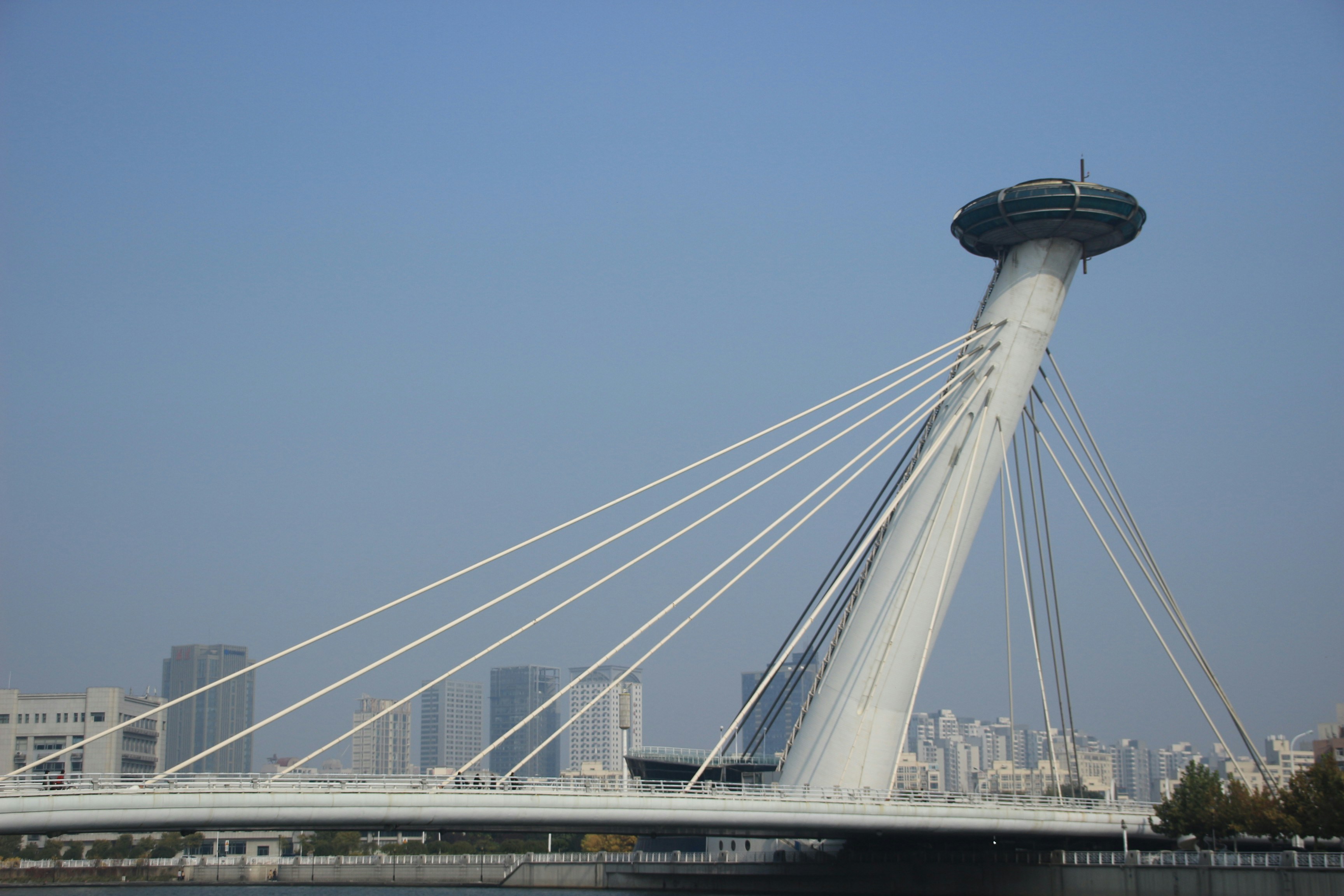 Image by sophia shum via Unsplash