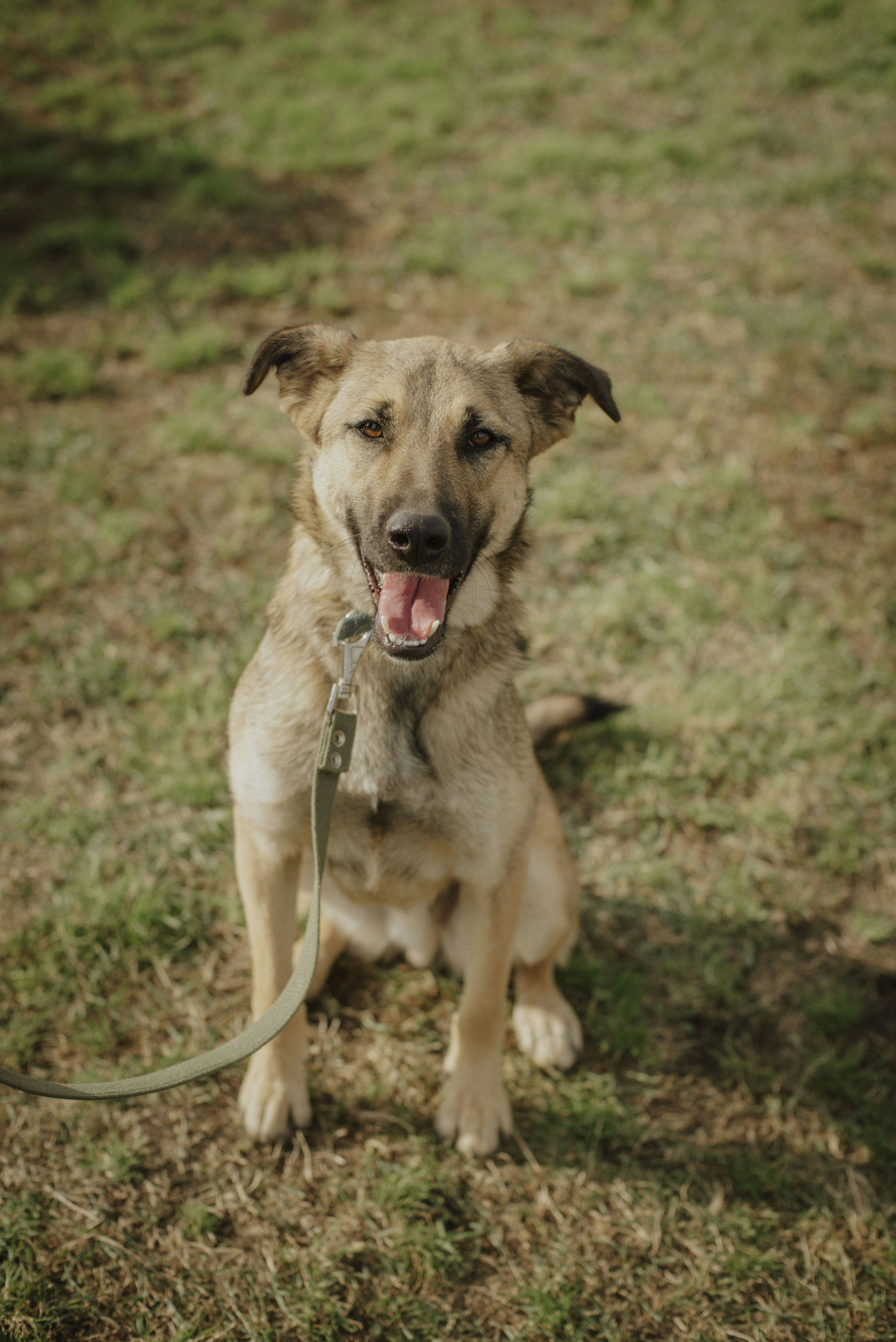 Photo by yuli_superson