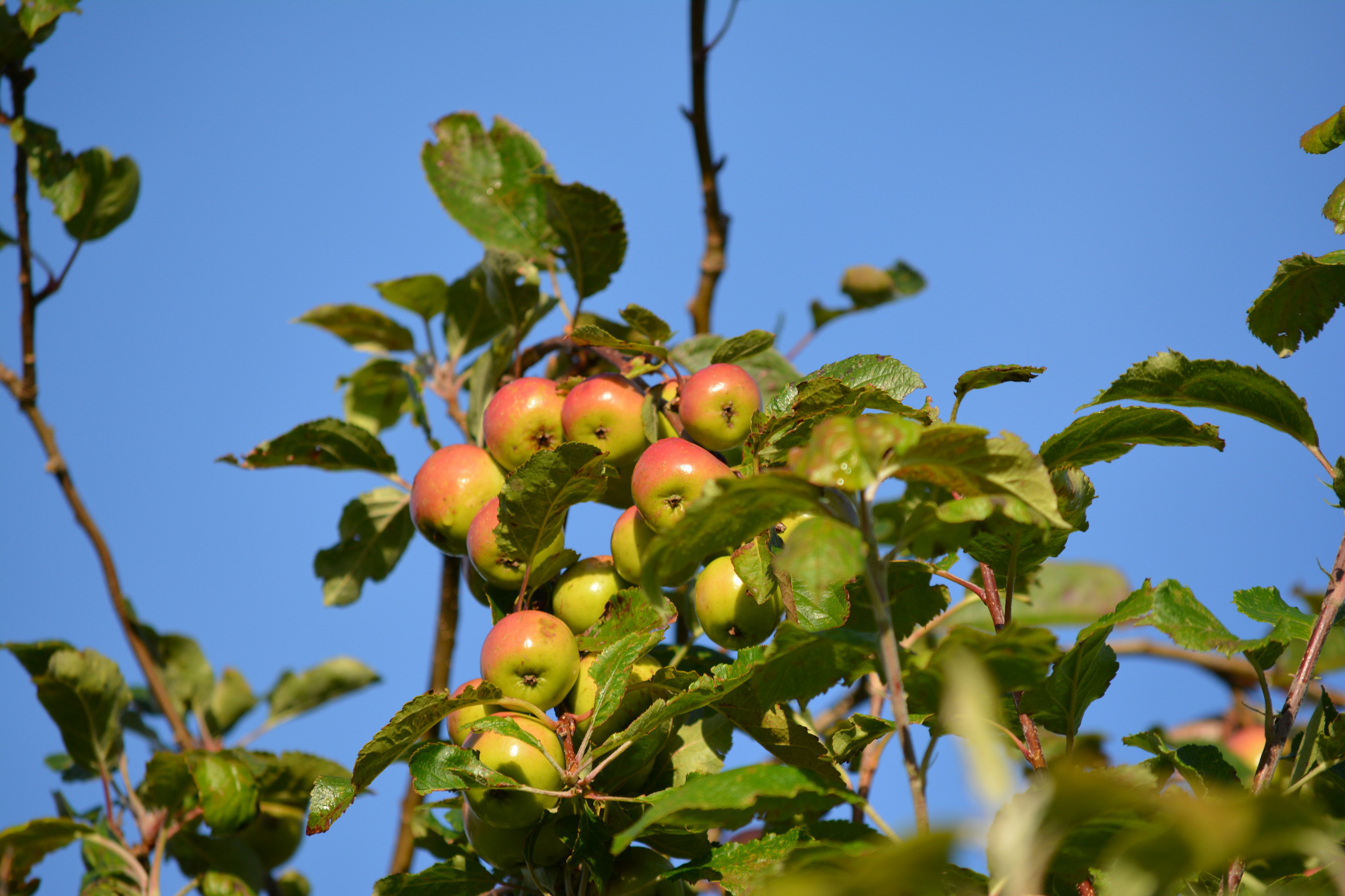 Photo by natashaguryanova