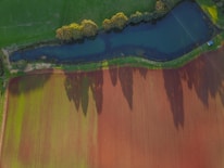 Aerial view of a neatly divided landscape showcasing a vibrant, green field juxtaposed with a rich, earthy brown field. A narrow water body runs horizontally across the upper part, bordered by lush trees casting long shadows onto the fields below.