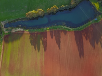 Aerial view of a neatly divided landscape showcasing a vibrant, green field juxtaposed with a rich, earthy brown field. A narrow water body runs horizontally across the upper part, bordered by lush trees casting long shadows onto the fields below.