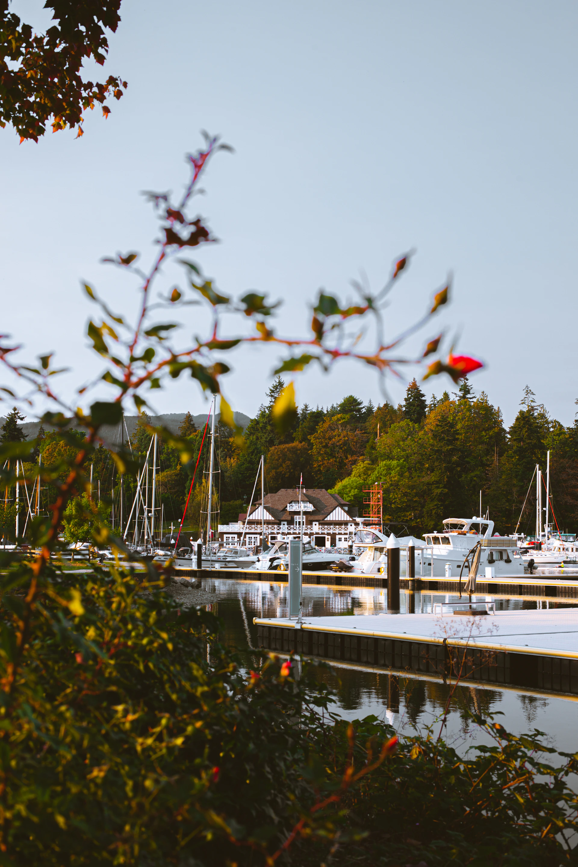 A beautifully restored yacht docked at a serene marina surrounded by lush green trees.