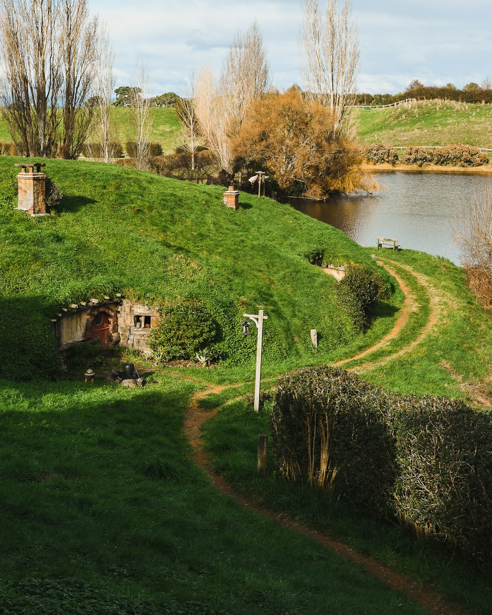 Champ d’herbe verte près d’un plan d’eau pendant la journée