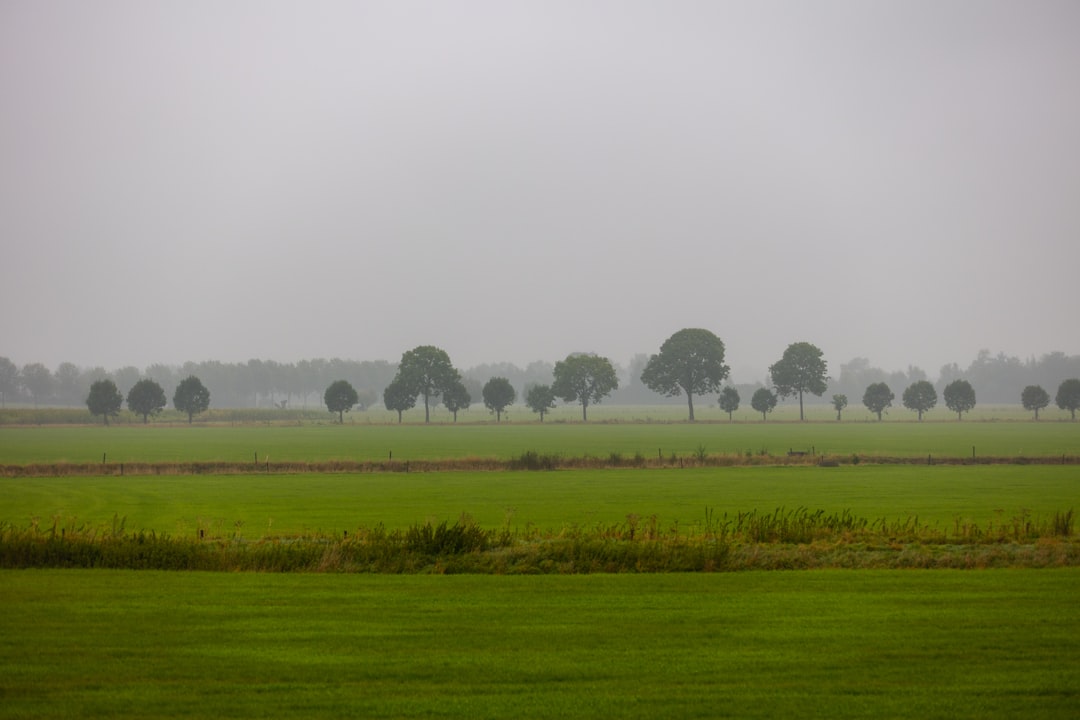 Plain photo spot Olburgen Loenen