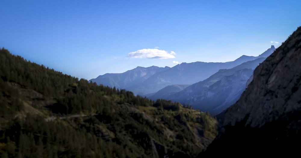 green trees on mountain under blue sky during daytime