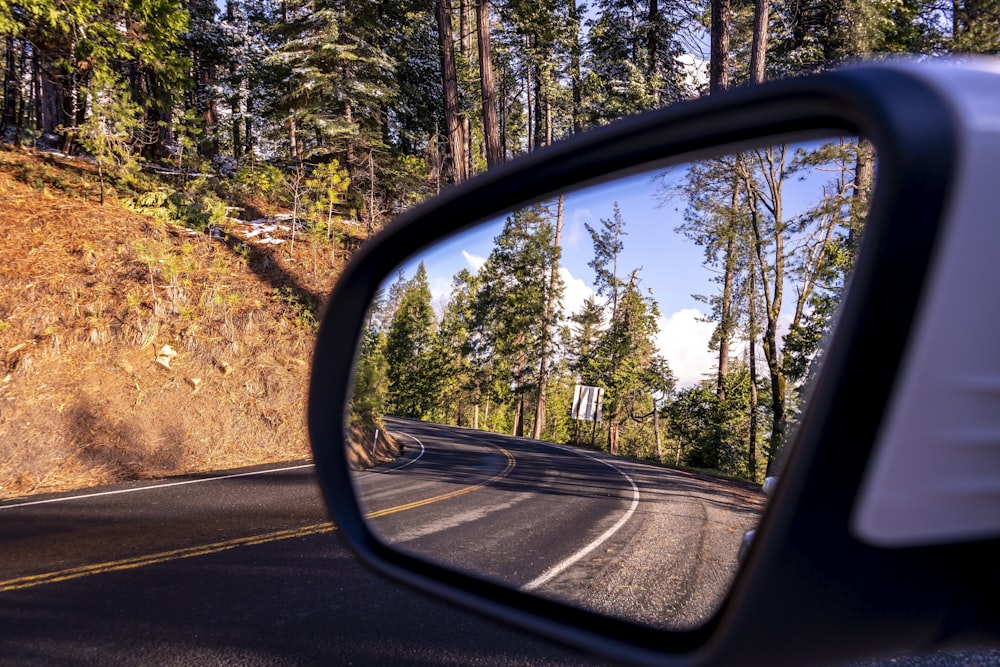 car side mirror showing green trees during daytime