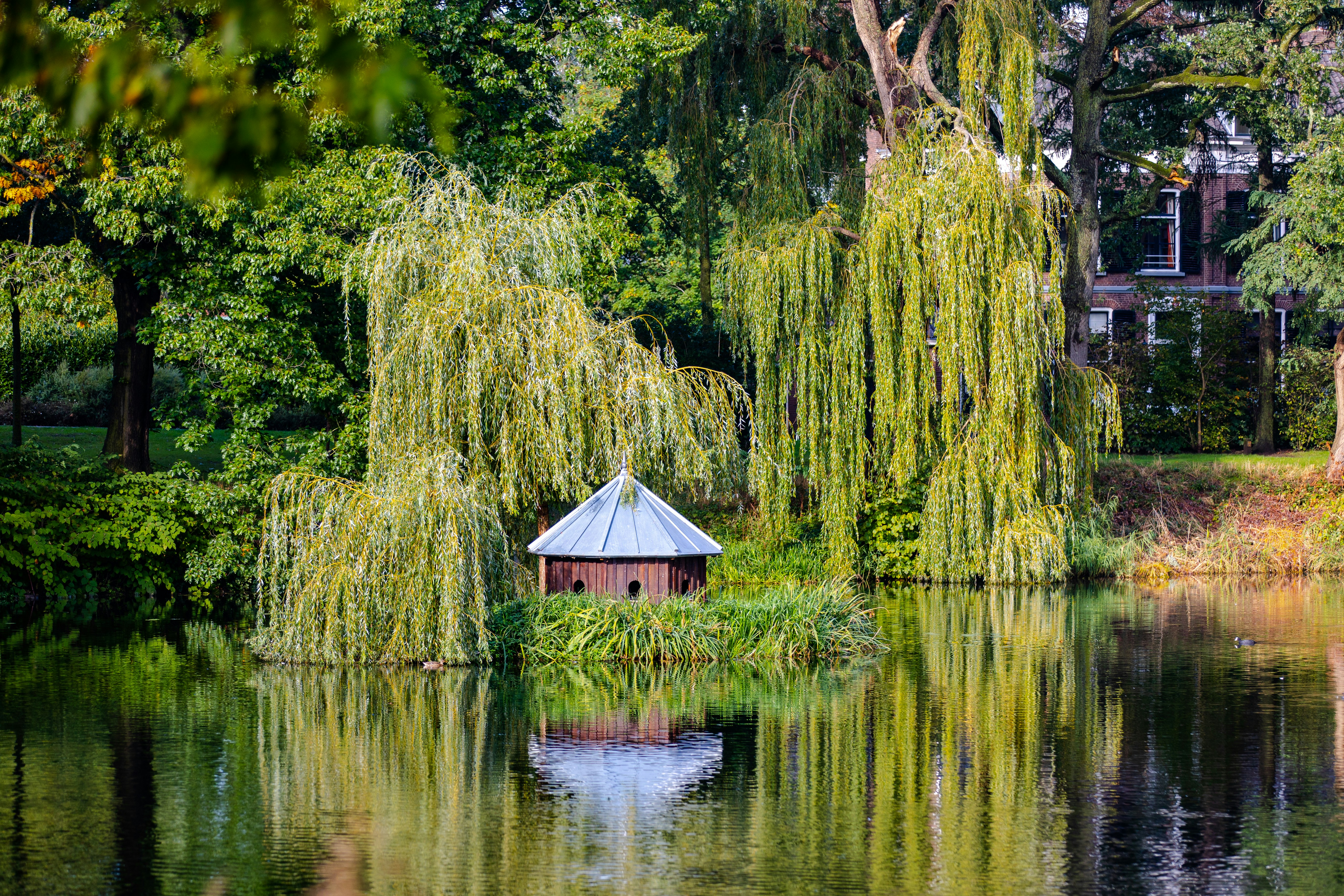 Photo by mzaferyahsi