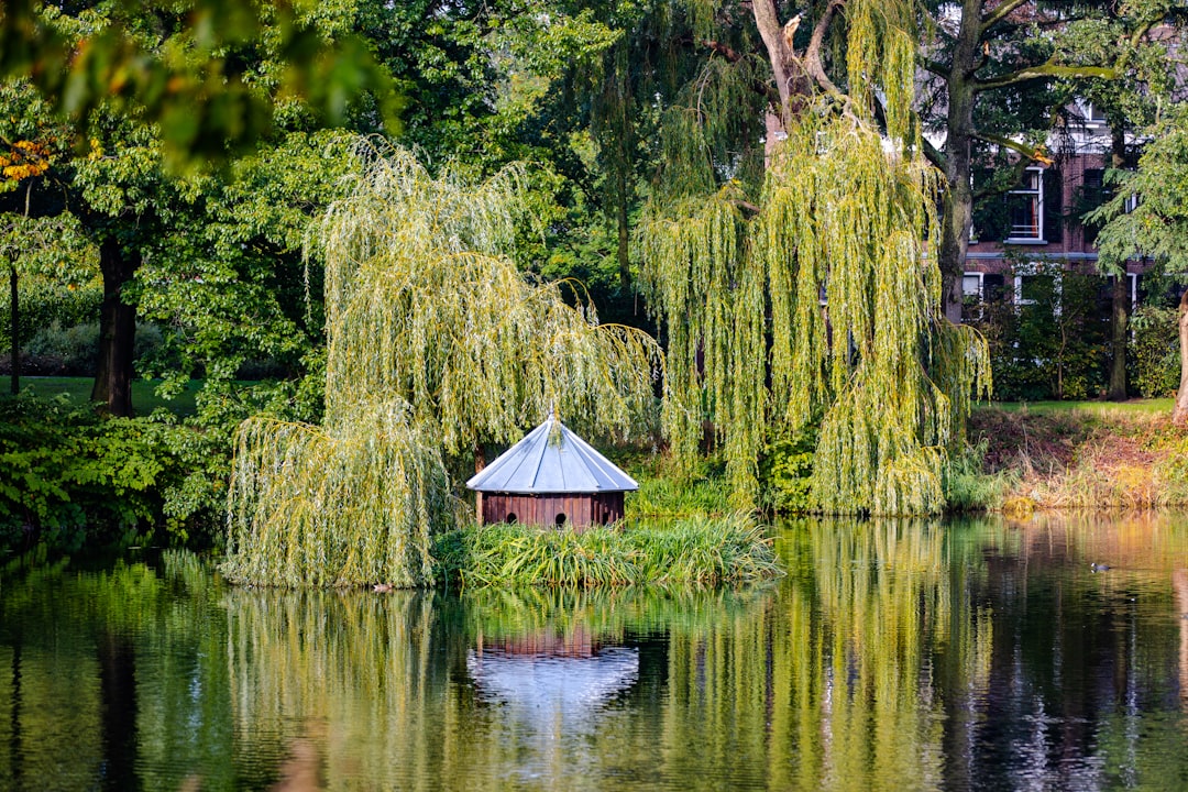 travelers stories about Nature reserve in Doesburg, Netherlands