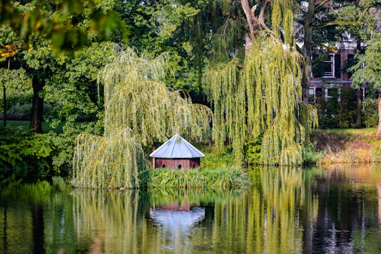 brown wooden house on green grass field beside lake during daytime in Doesburg Netherlands