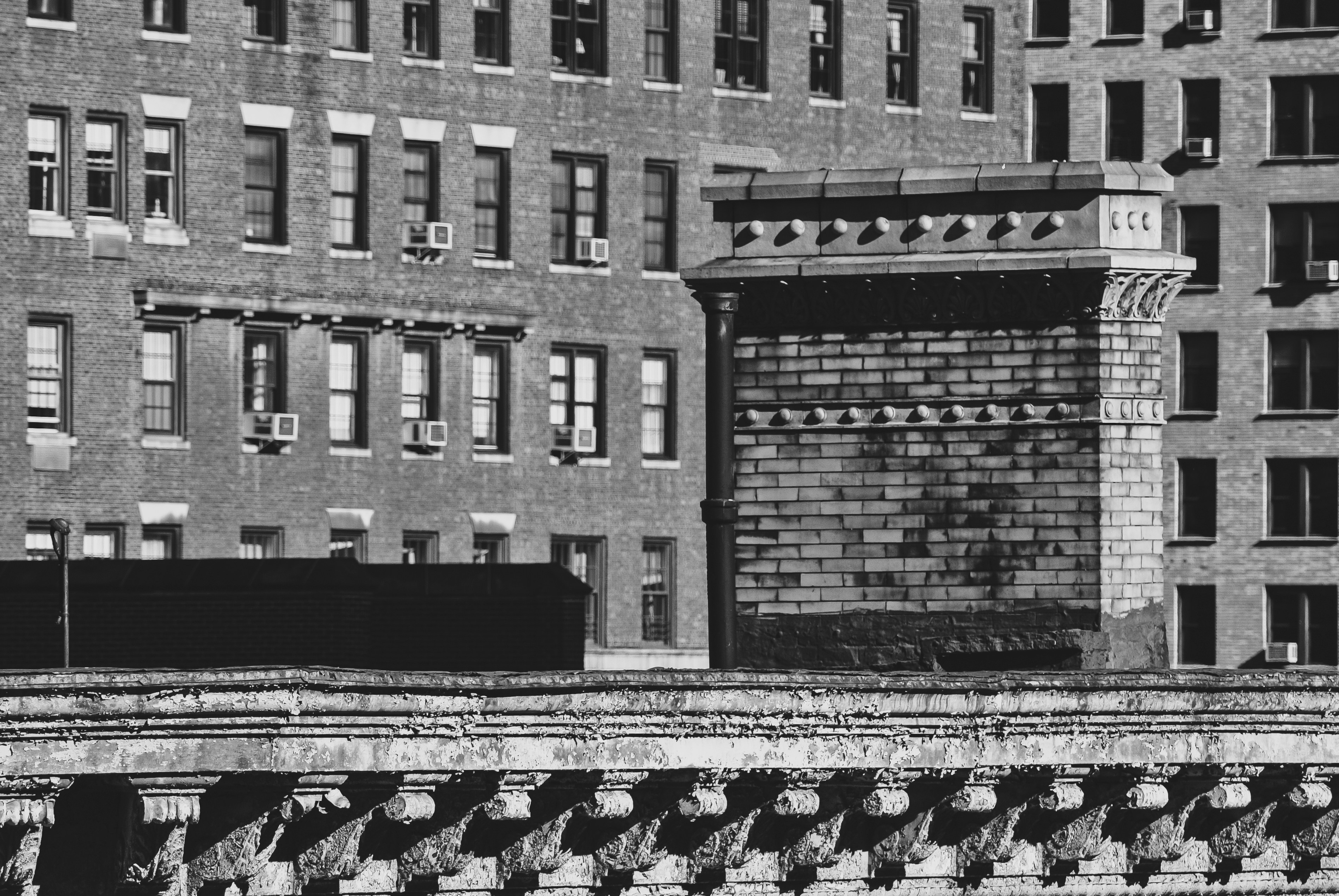 Photo by clayleconey