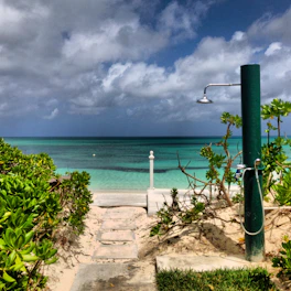 green plants on brown sand near sea under white clouds during daytime