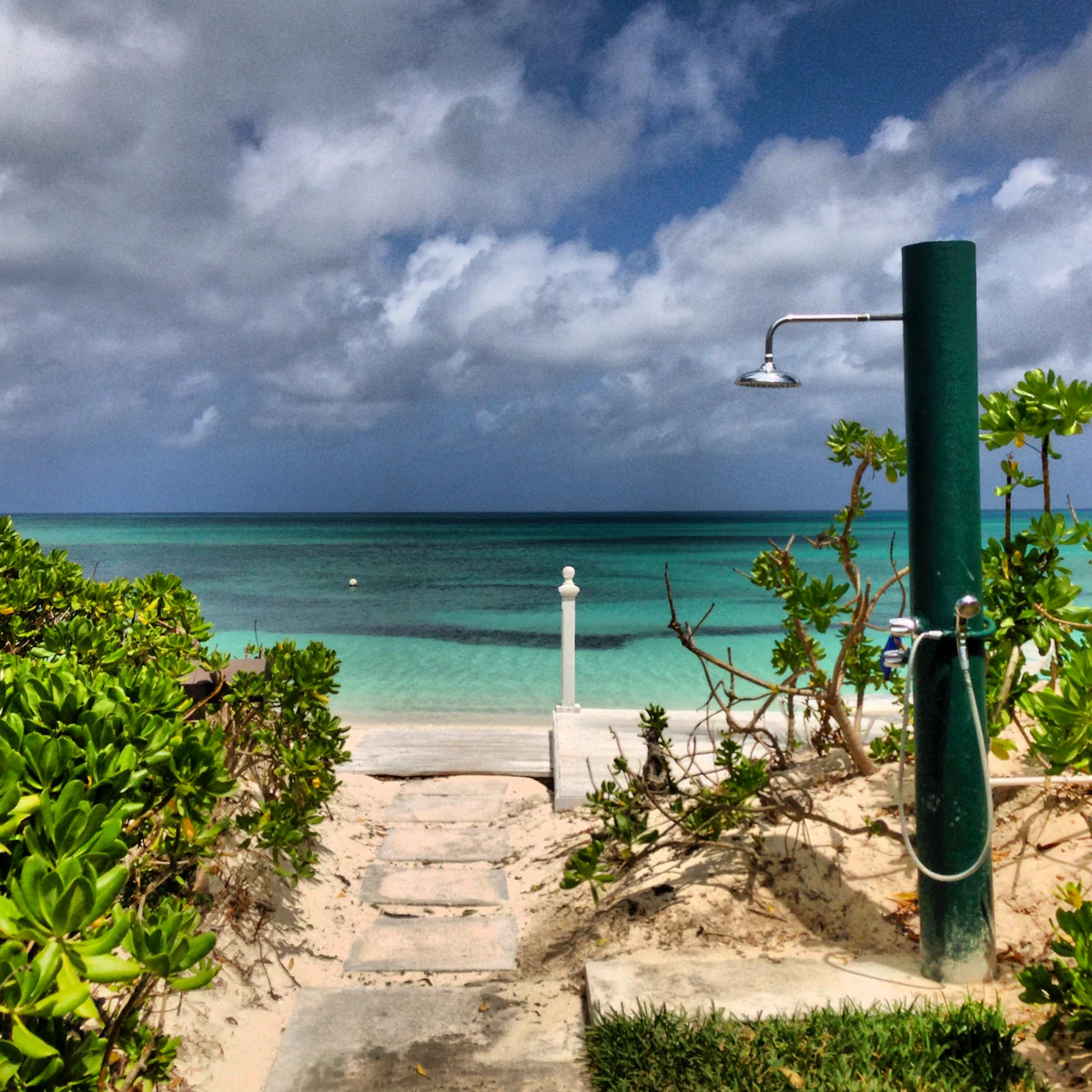 Vegetação tropical à beira-mar nas Bahamas