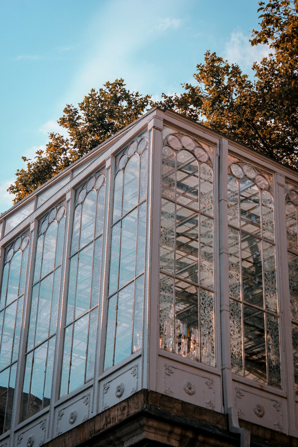 white framed glass window building