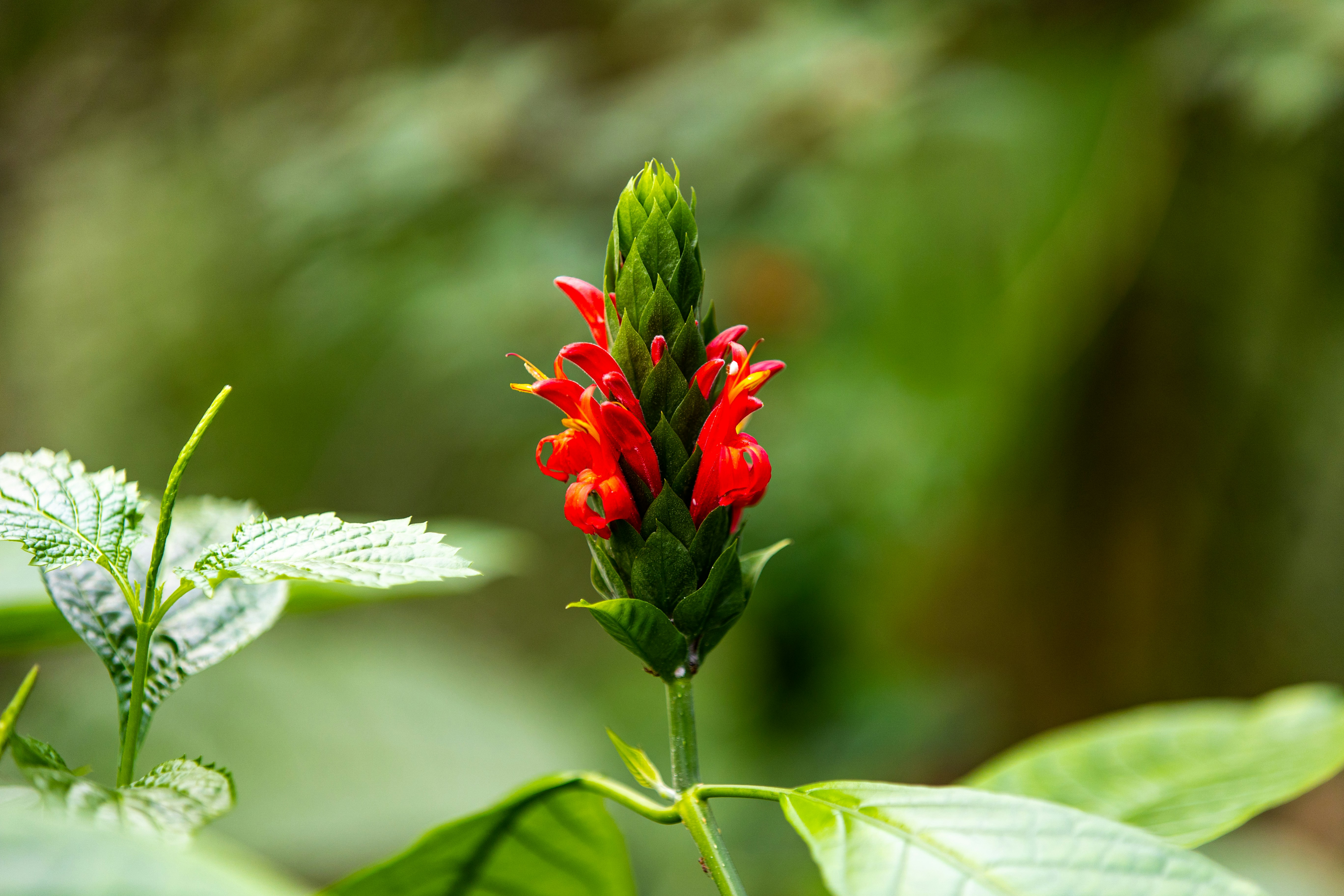 Photo by mzaferyahsi