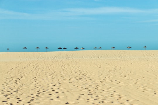 people walking on white sand during daytime in Aljezur Portugal