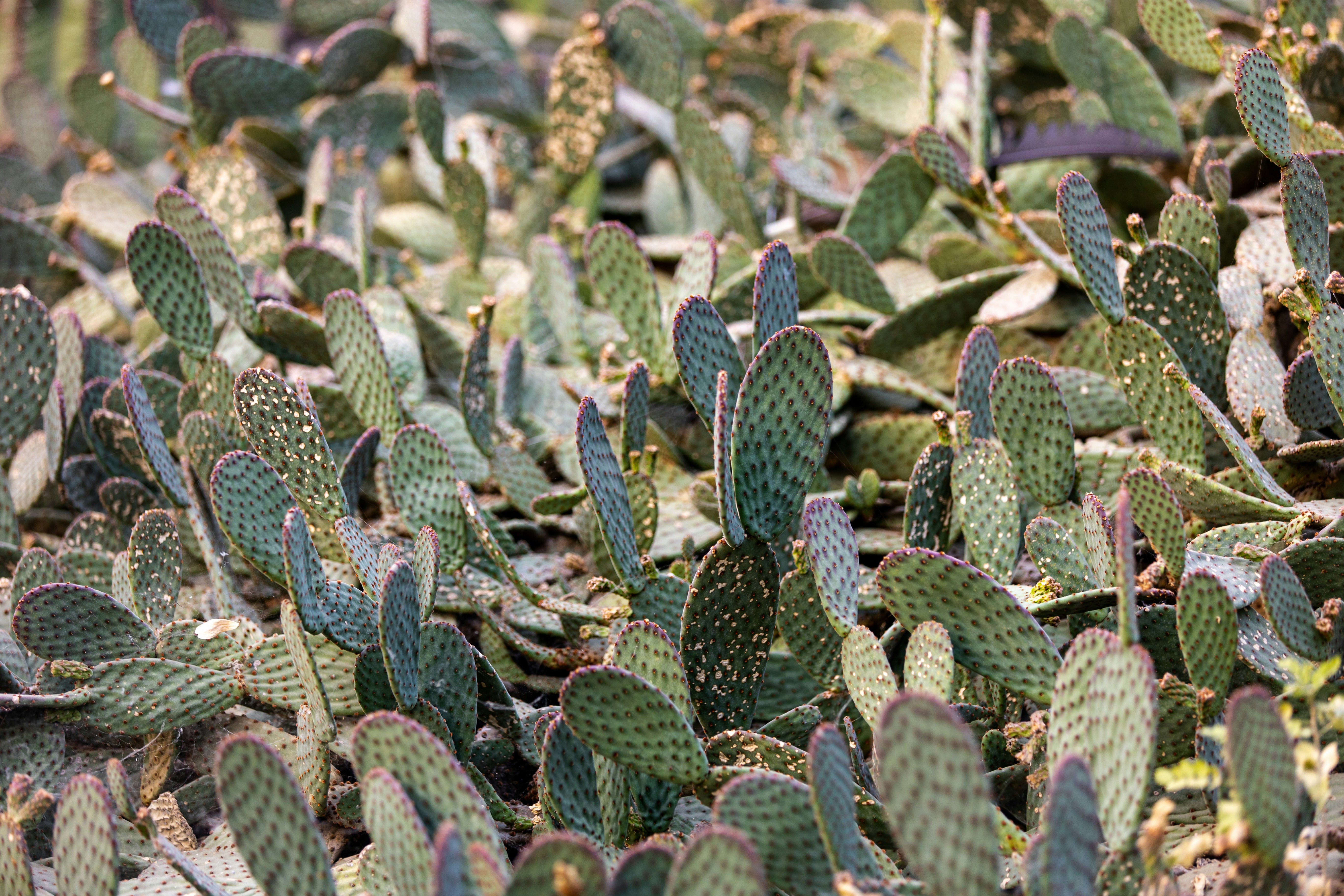 Photo by mzaferyahsi