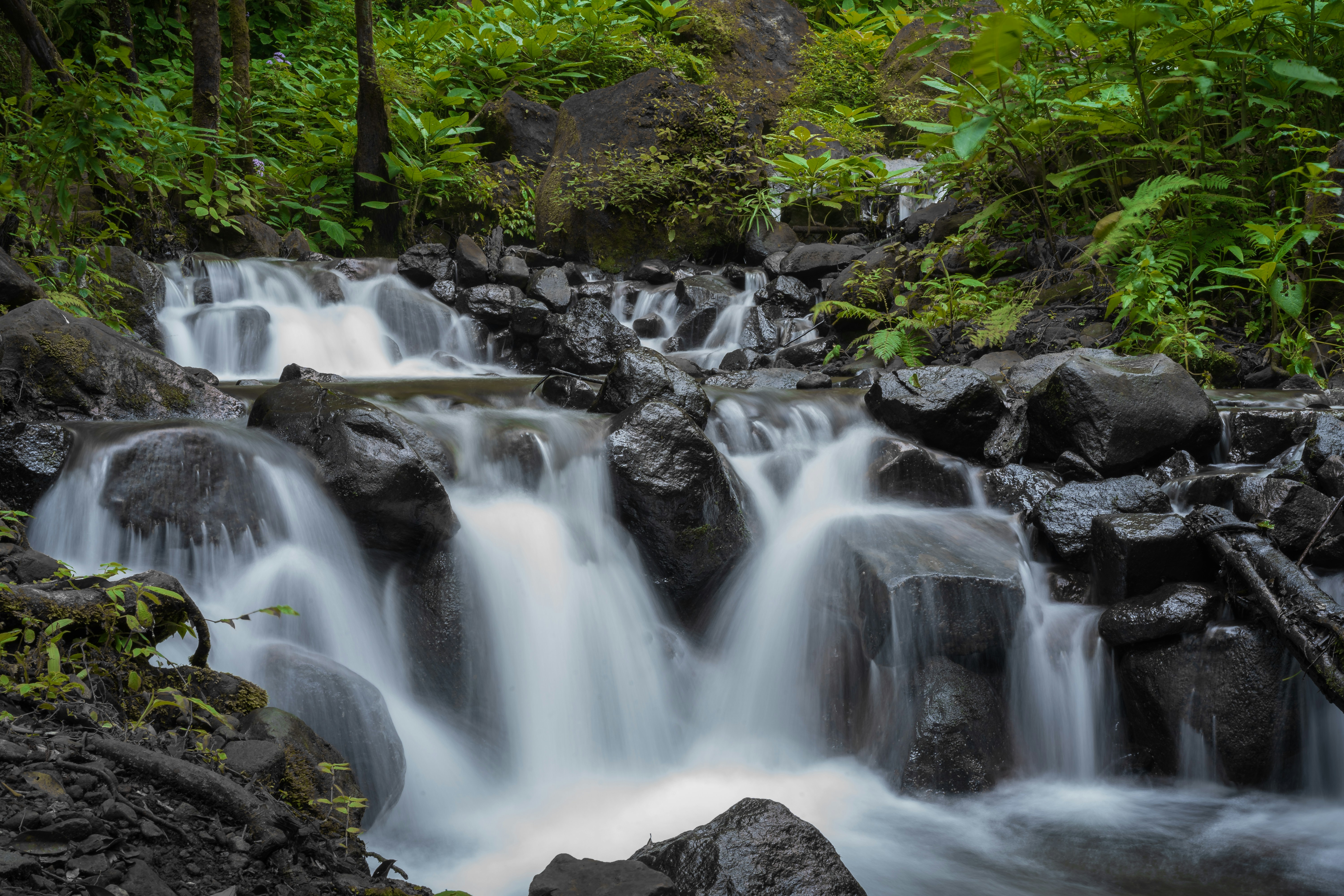 Photo by robbcahyadi