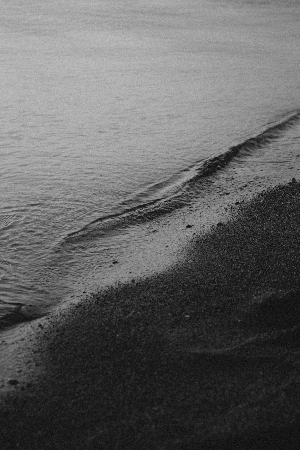 Photo en niveaux de gris du rivage de la plage