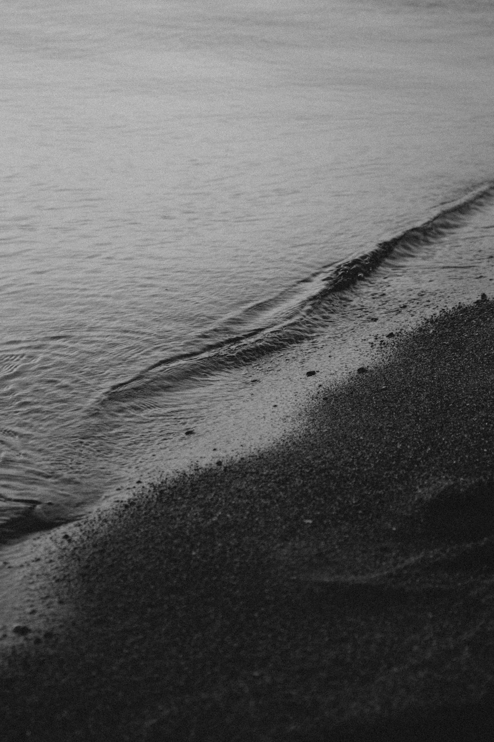 grayscale photo of beach shore