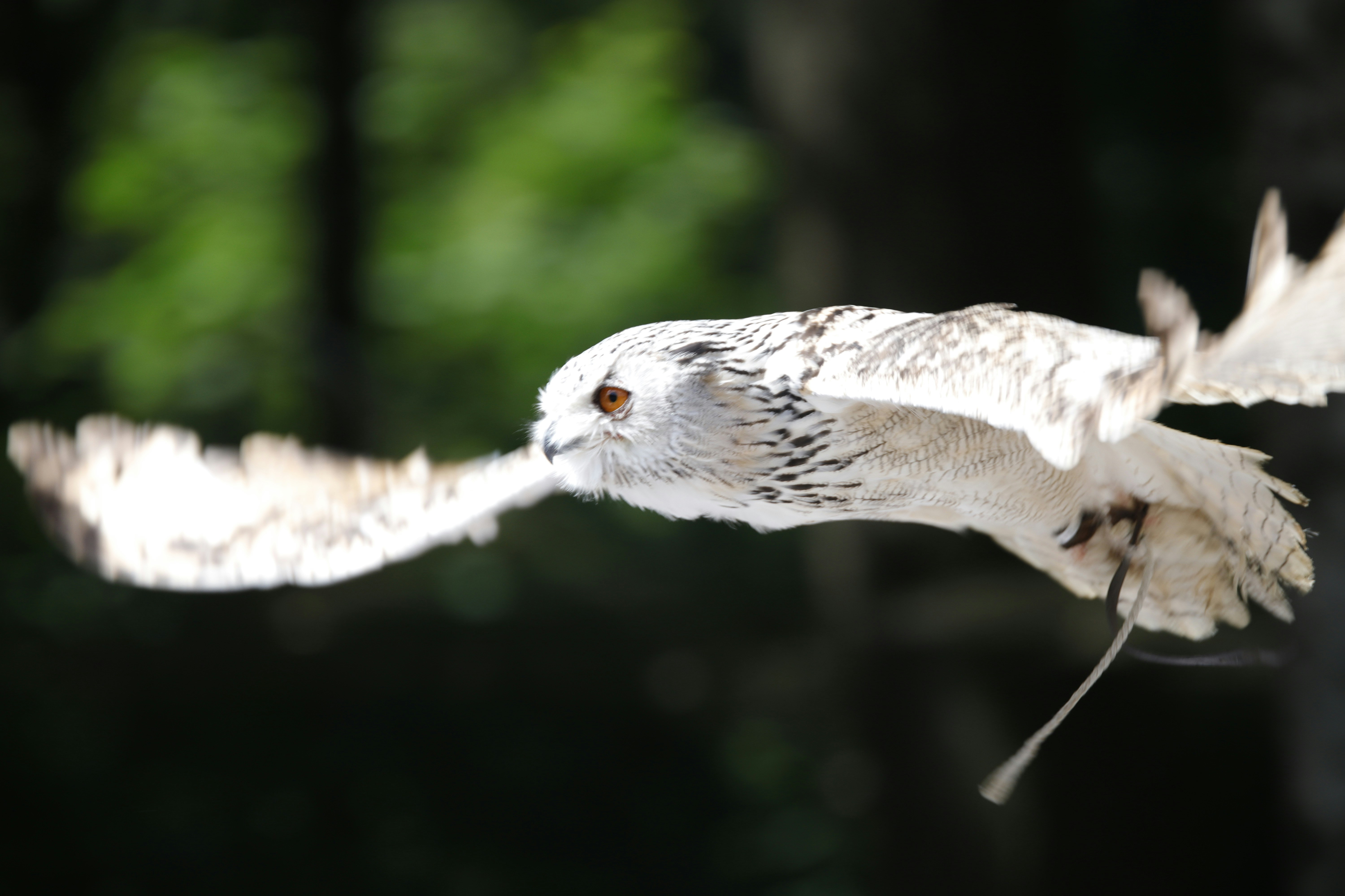 Photo by emilyvanhayson