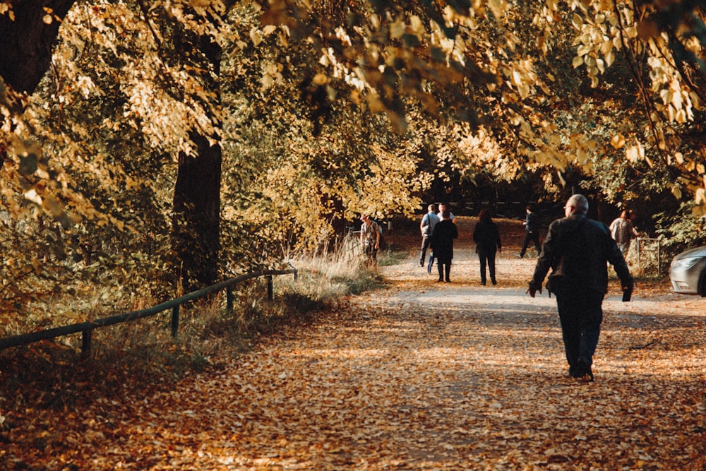 people walking on brown dirt road during daytime