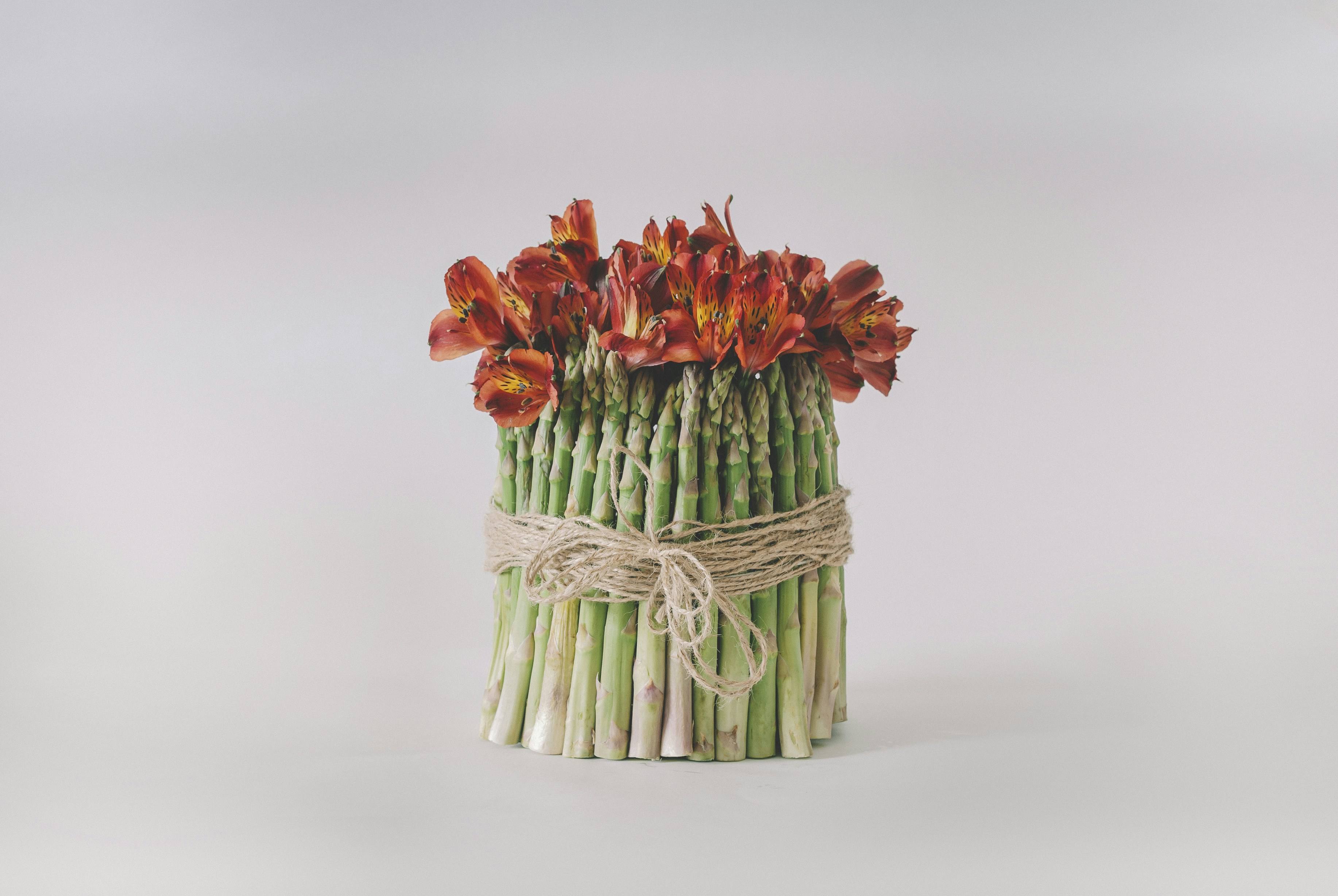 Photo by vonshnauzer