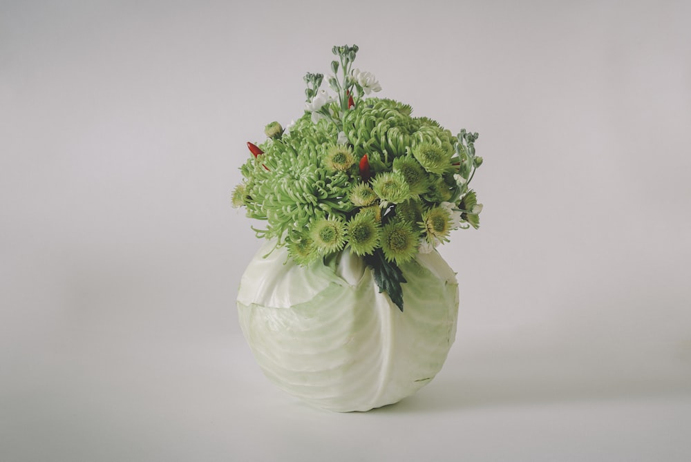 green plant in white ceramic vase