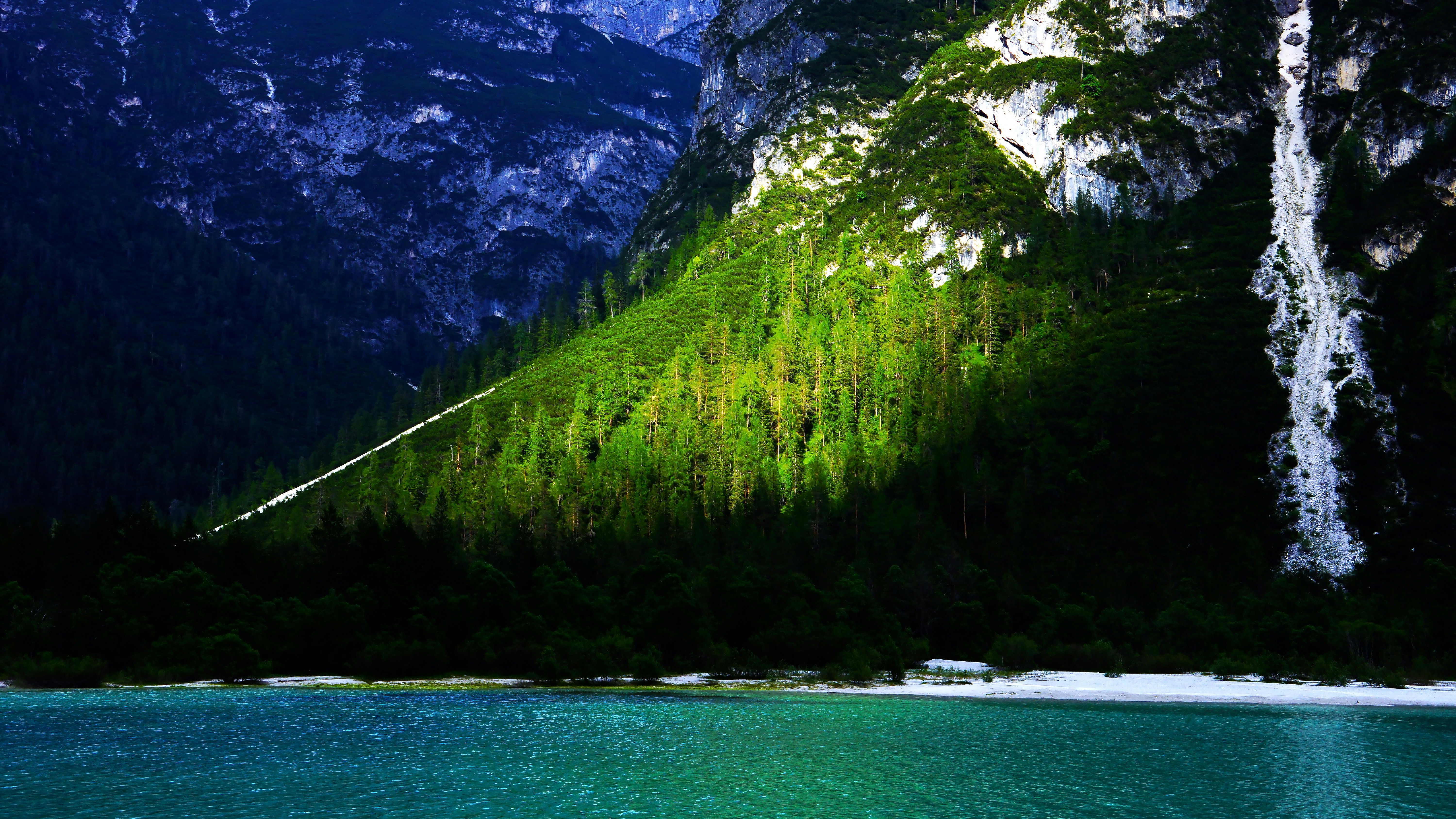 The Astonishing Glass Frog: Nature's See-Through Camouflage