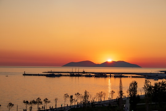 silhouette of trees near body of water during sunset in Vlora Albania