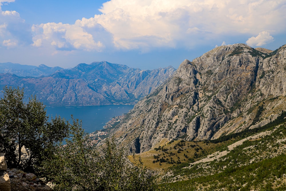 green trees on mountain near body of water during daytime