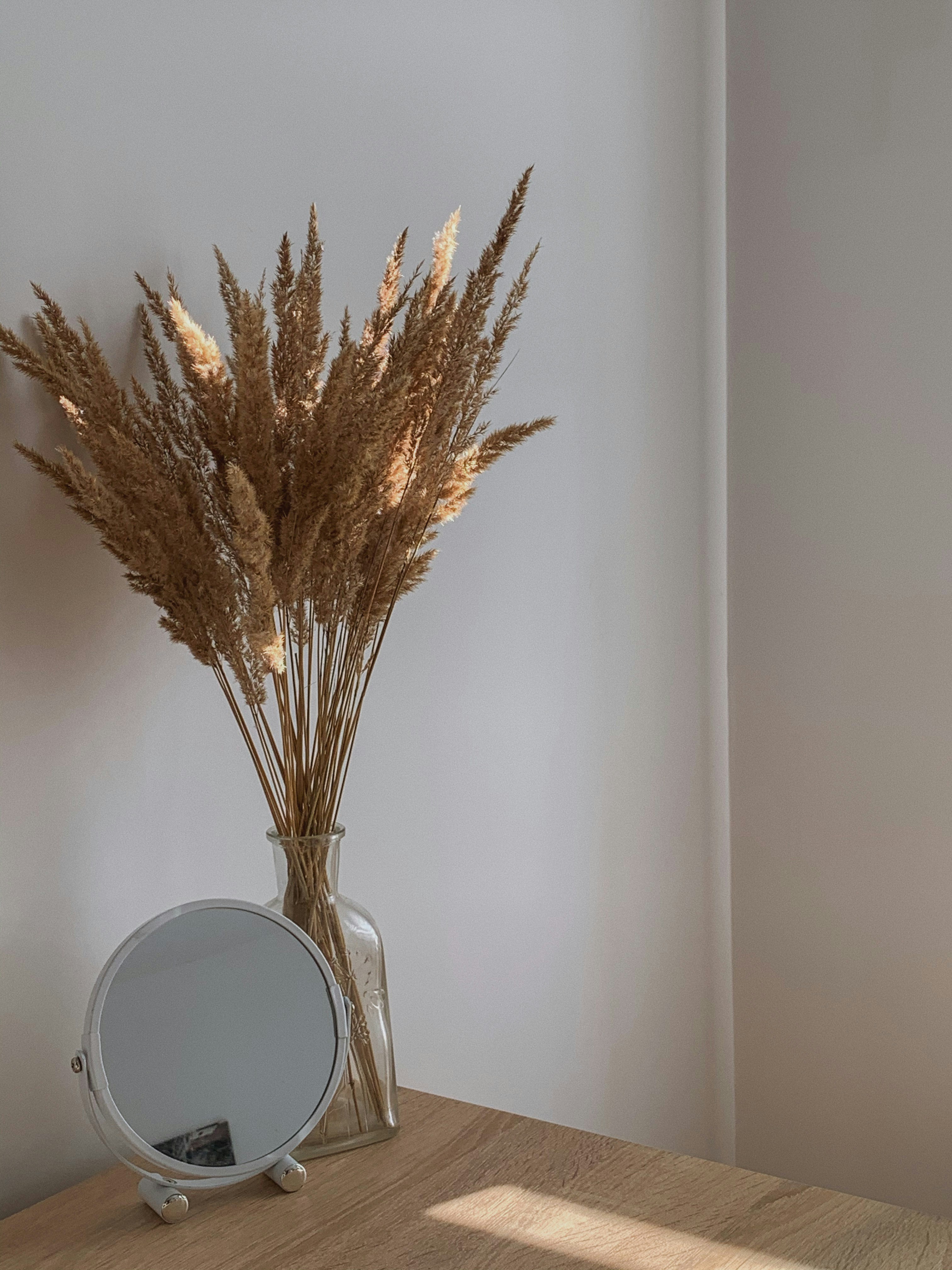 透明なガラスの花瓶に茶色の植物の写真 Unsplashで見つけるポズナンの無料写真